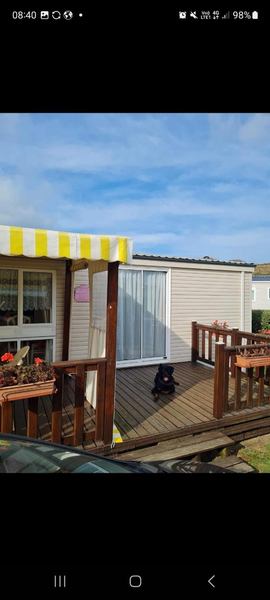 Grand Frond De Sur La Cote D'opale Camiers