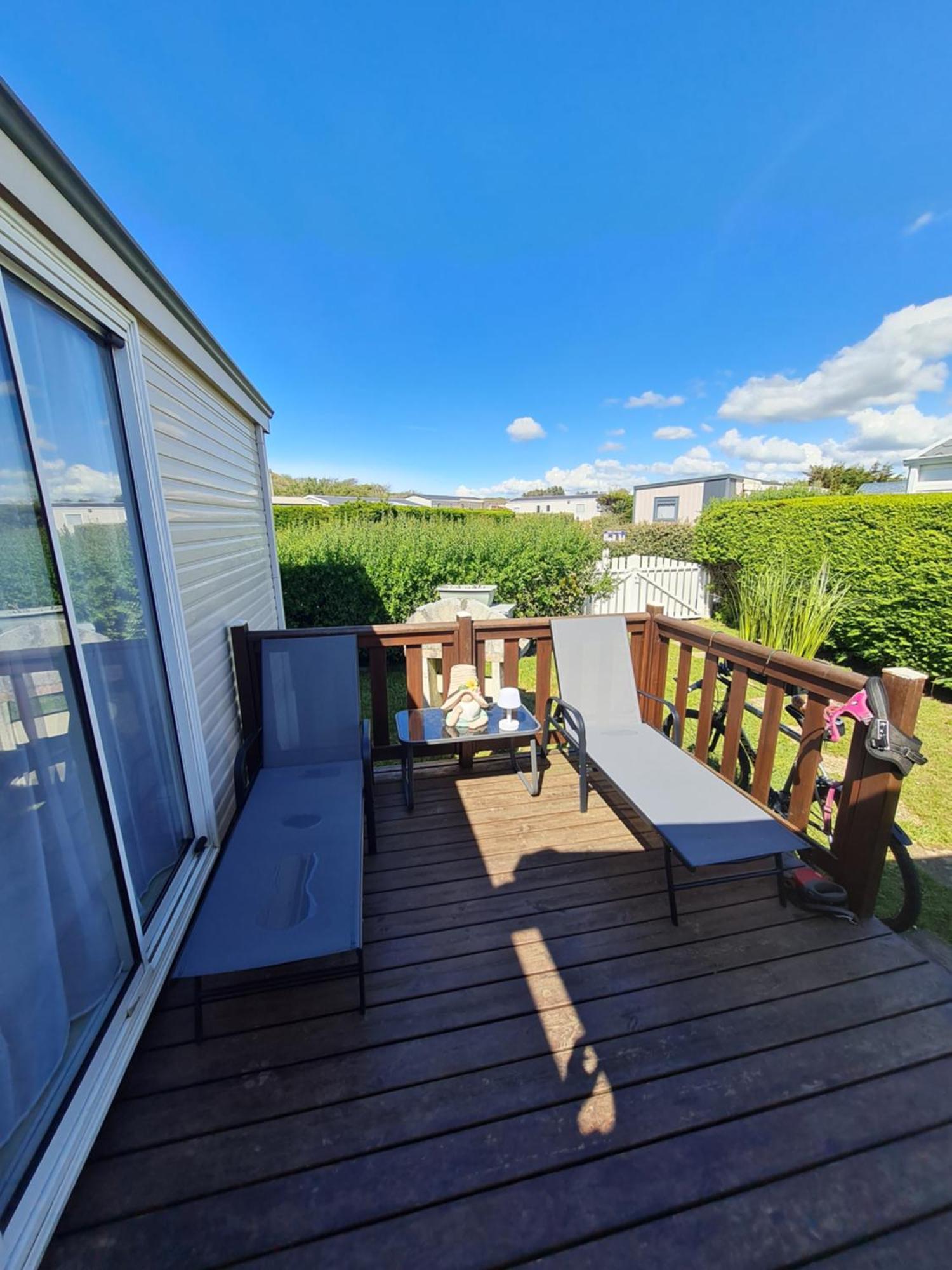 Grand Frond De Sur La Cote D'opale