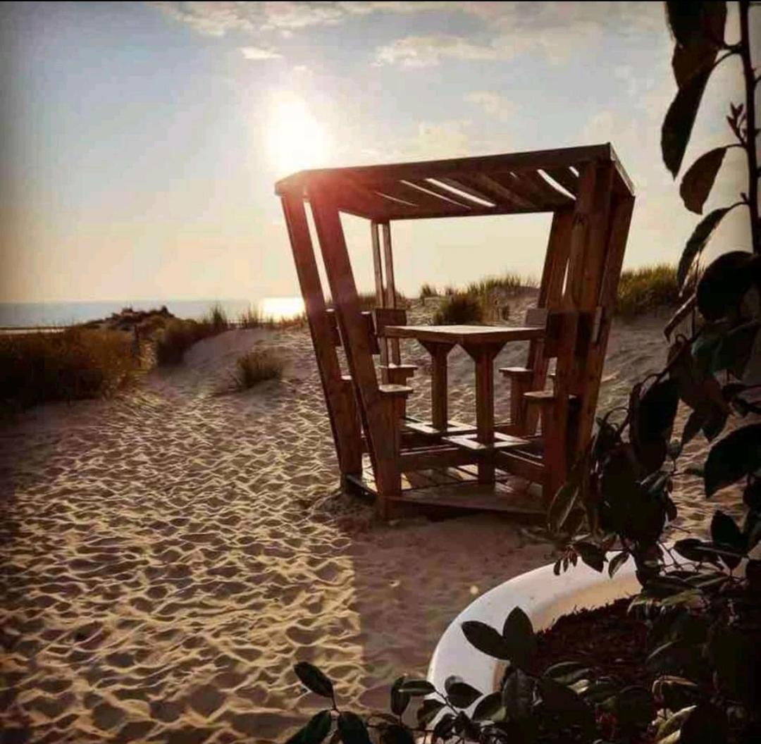 Grand Frond De Sur La Cote D'opale